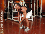man rear raise