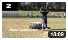 Tire Flip Workout
