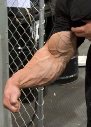 how to get bigger forearms