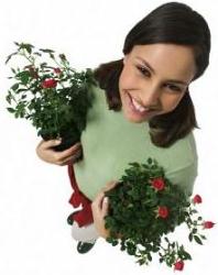 dama sosteniendo plantas jardinería