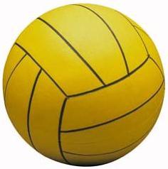 balón de voleibol