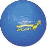 wallyball o voleibol de rebote